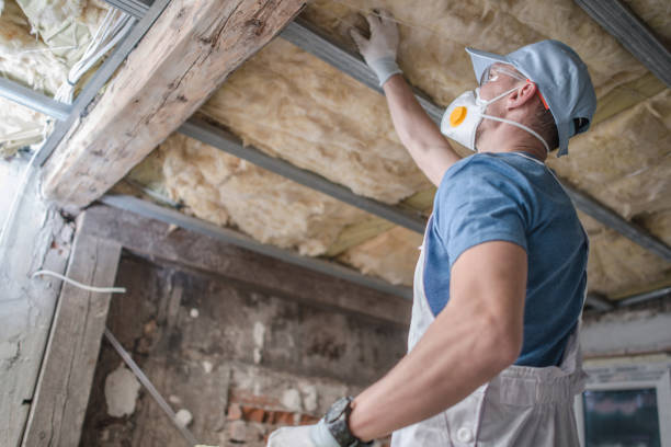 Best Insulation for New Construction  in Bradfordville, FL